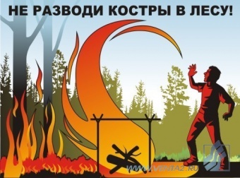 Экология леса - комплект плакатов из 3 листов